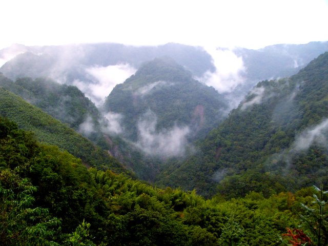 Syakaro 霞喀羅