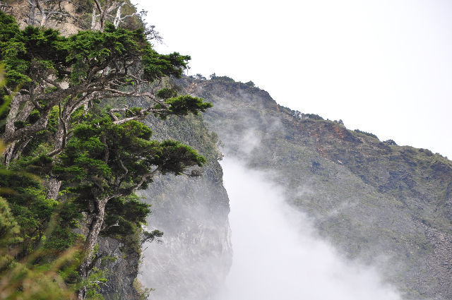 杉青雲蒸臨崖急