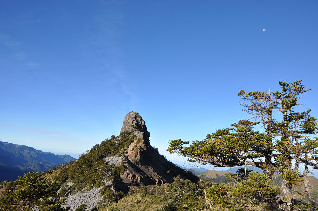 小霸杉際露微月