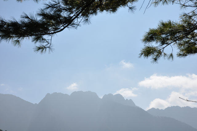 南山悠悠杉際繞