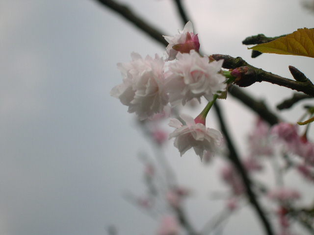 拾遺