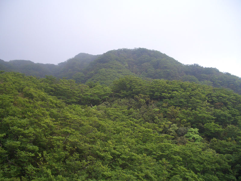 北插天山的南側