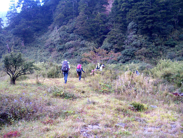 走過草地