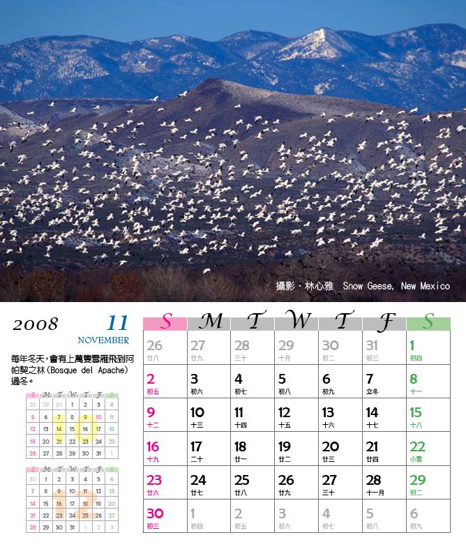 桌曆(十一月) : 攝影．林心雅 Snow Geese, New Mexico