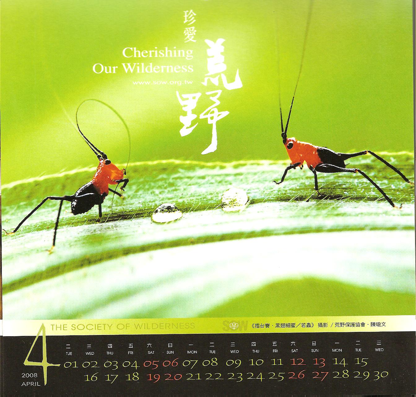 四月份的荒野月曆