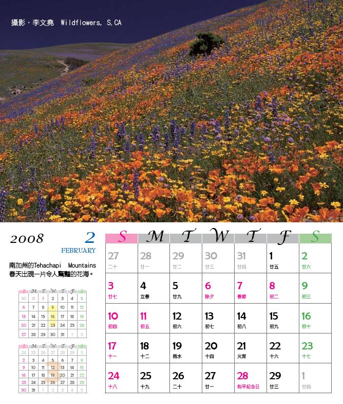 桌曆(二月) : 攝影．李文堯 Wildflowers, S.CA