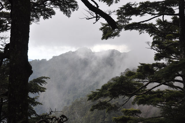 遠山近巒，飄逸沉浮