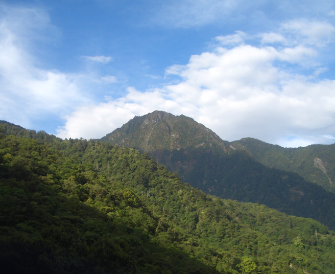 新康山(由東往西仰望)