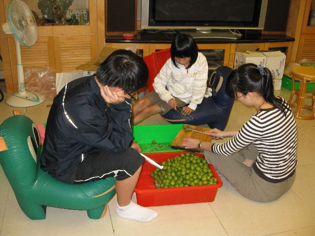 老公撐著腰, 夫人坐著敲.
兒女蹲著看, 老師站著盯.
始知口中梅 ,粒粒皆苦辛.

志城買了80斤青梅，出動一家五口，搓揉敲打，把夫人累慘了。原來這位坐而言、起而行的男人背後，有一雙美麗的推手。