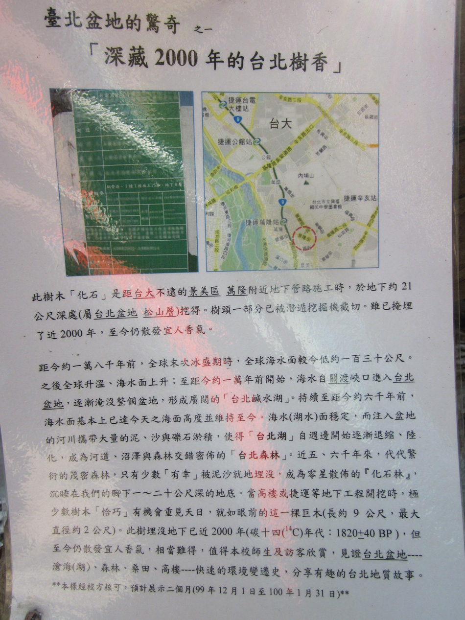 "深藏2000年的台北樹香" 文字說明.