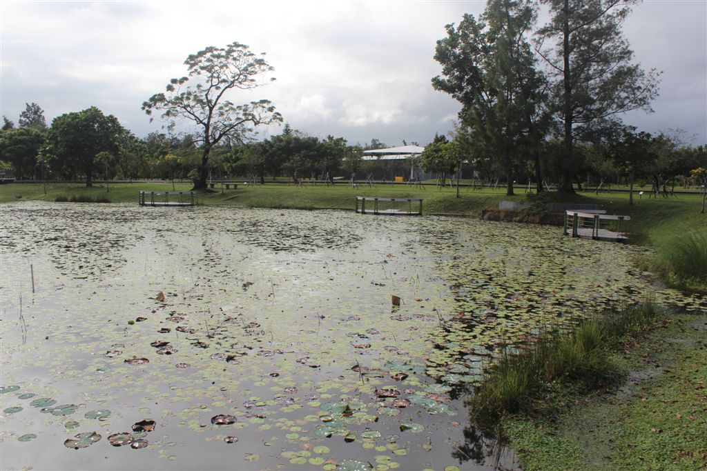 森林公園西邊的綠水湖