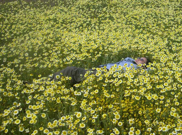 花葬黛玉 in Carrizo Plain Natl Monement, west of Bakerfield