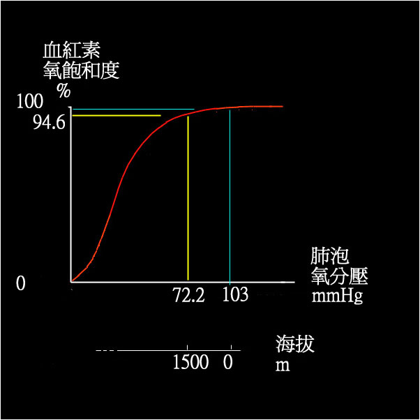 氧-血紅素解離曲線
