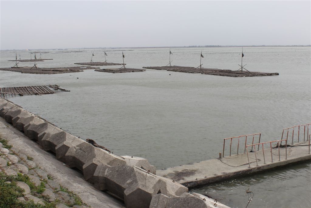 海濱公園外潮漲滿滿的養蚵場，退潮才可見到沙洲和養殖的掛竿!