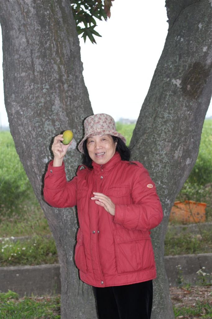 地上撿的可以歸私。