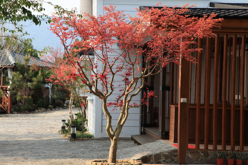 和風山莊庭園一角
