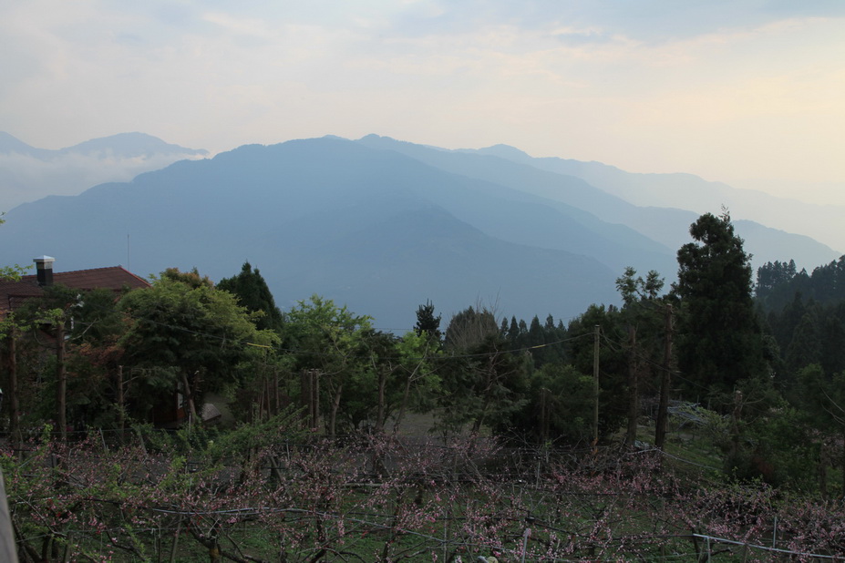 山景，下方是桃花。