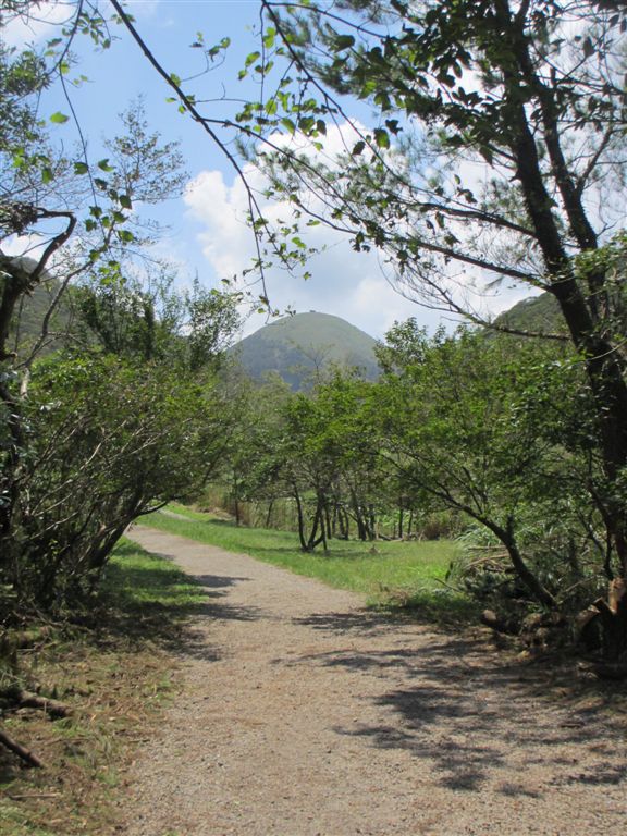 由二子坪遠眺面天山