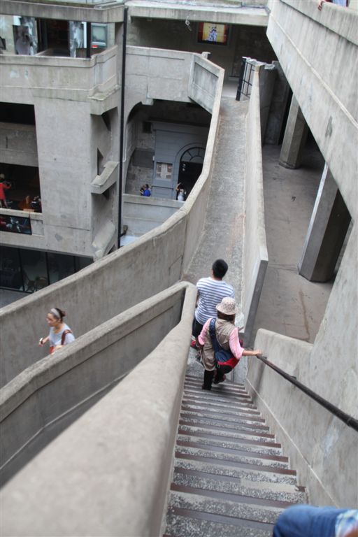人畜分道，命運不同
