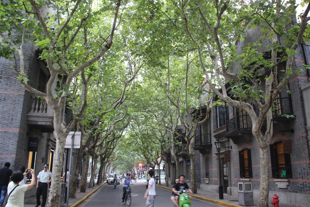 馬當路轉個彎就到興業路，聽說房價遠超過台北豪宅