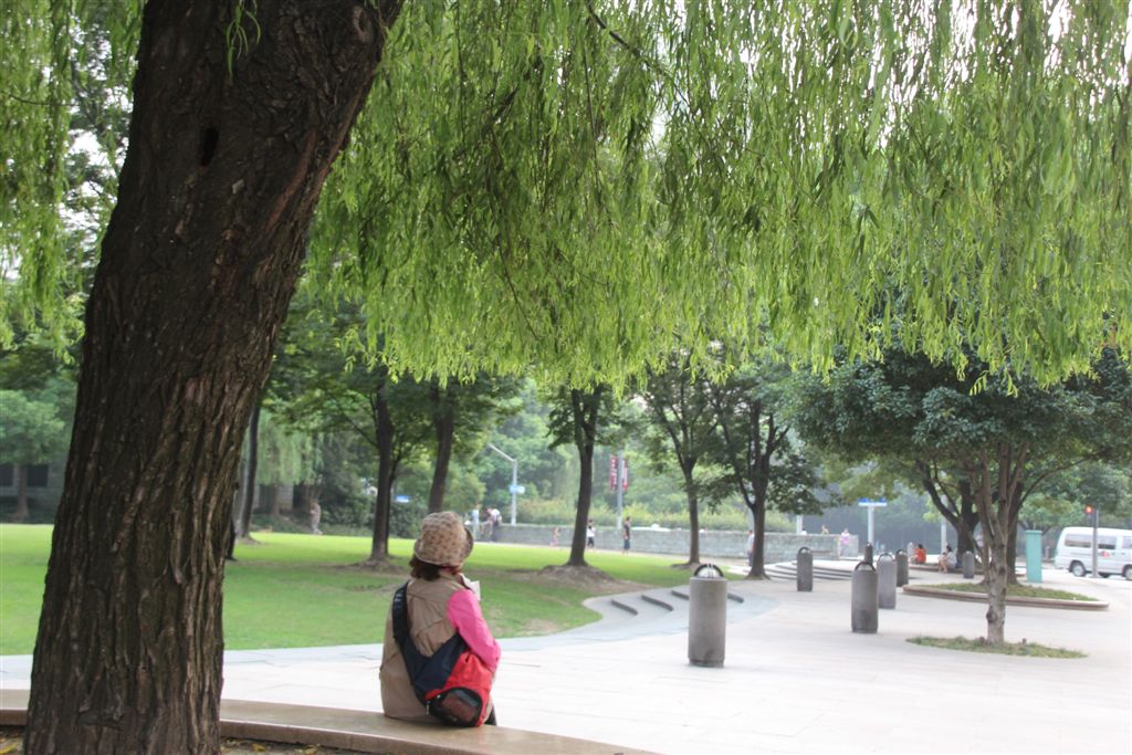 太平橋公園的楊柳樹下，這裡比較實在.....