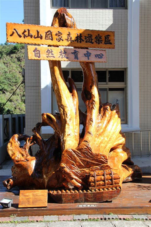 台灣扁柏