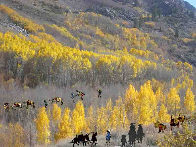 劉熙《秋山行旅圖》