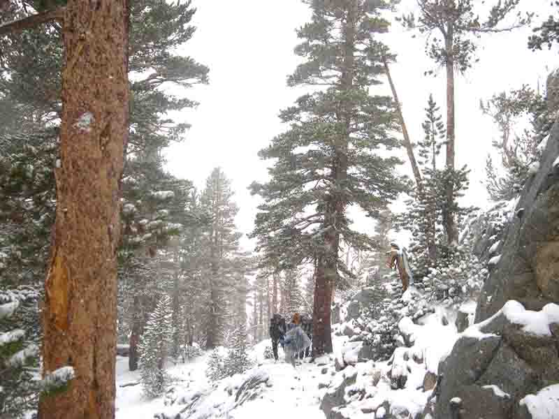 劉熙《關山秋雪圖》