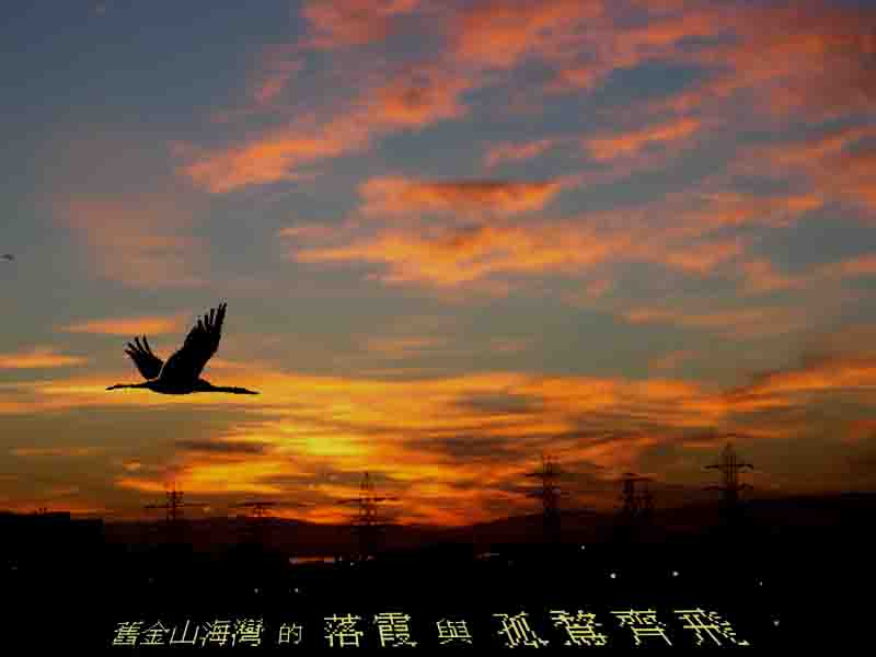 鶩是組合的啦