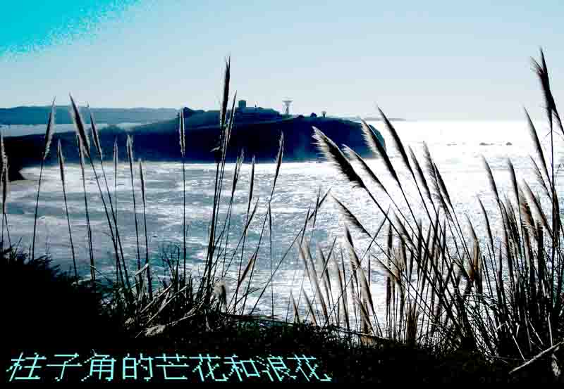 岬角頂上是美空軍的雷達站