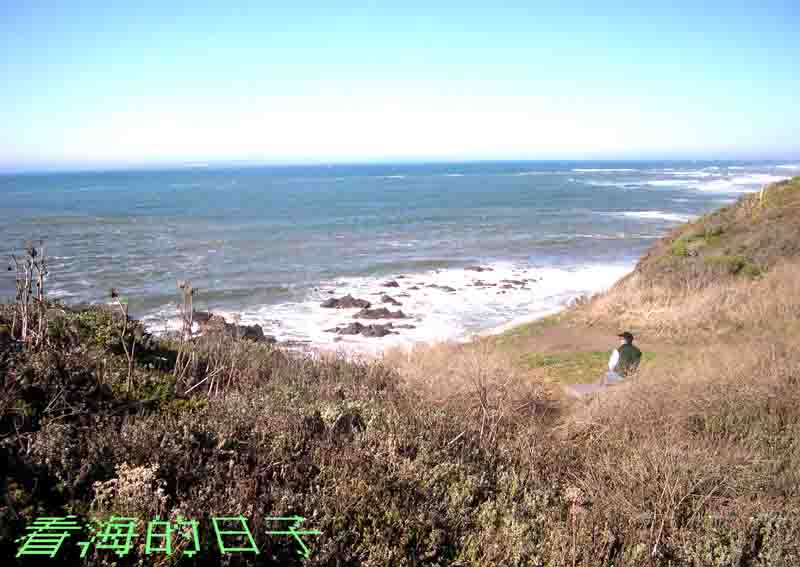 看海的日子