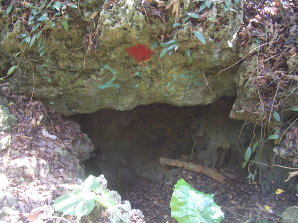 "迷洞", 為洞穴群組9個洞口中, 唯一在山徑旁的洞口, 但此洞口陡降, 不易進入.