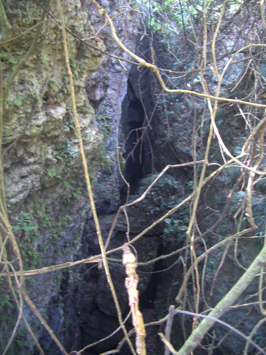 峽谷狀天坑, 位於大俠洞前洞與大俠洞後洞之間.