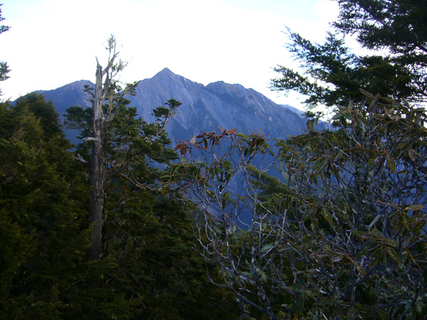 在3125m斷稜峰所見之中央尖山