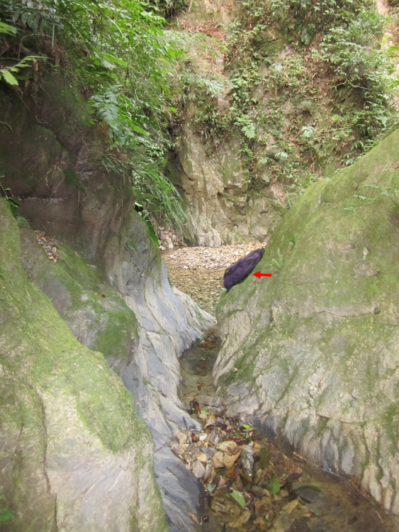 迷你峽谷, 紅色箭頭為小背包(作為大小比對用).